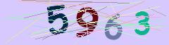 CAPTCHA validation image
