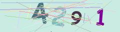 CAPTCHA validation image