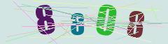 CAPTCHA validation image