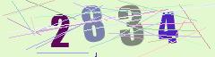 CAPTCHA validation image