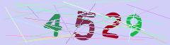 CAPTCHA validation image