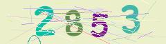 CAPTCHA validation image