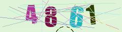 CAPTCHA validation image