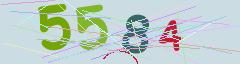 CAPTCHA validation image