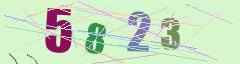 CAPTCHA validation image