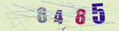 CAPTCHA validation image
