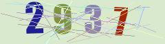 CAPTCHA validation image