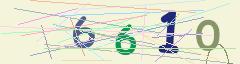 CAPTCHA validation image