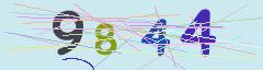 CAPTCHA validation image