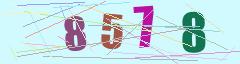 CAPTCHA validation image