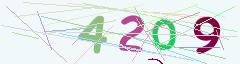 CAPTCHA validation image
