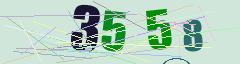 CAPTCHA validation image